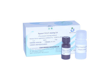 Kit de coloration Sperm CMA3 de précision à 99 % 3 - Test de carence en protamine de 5 min